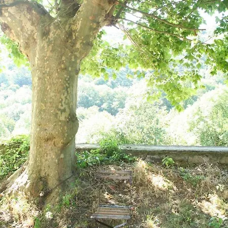 La Cance Maison d'hôtes *