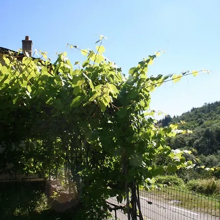 La Cance Maison d'hôtes
